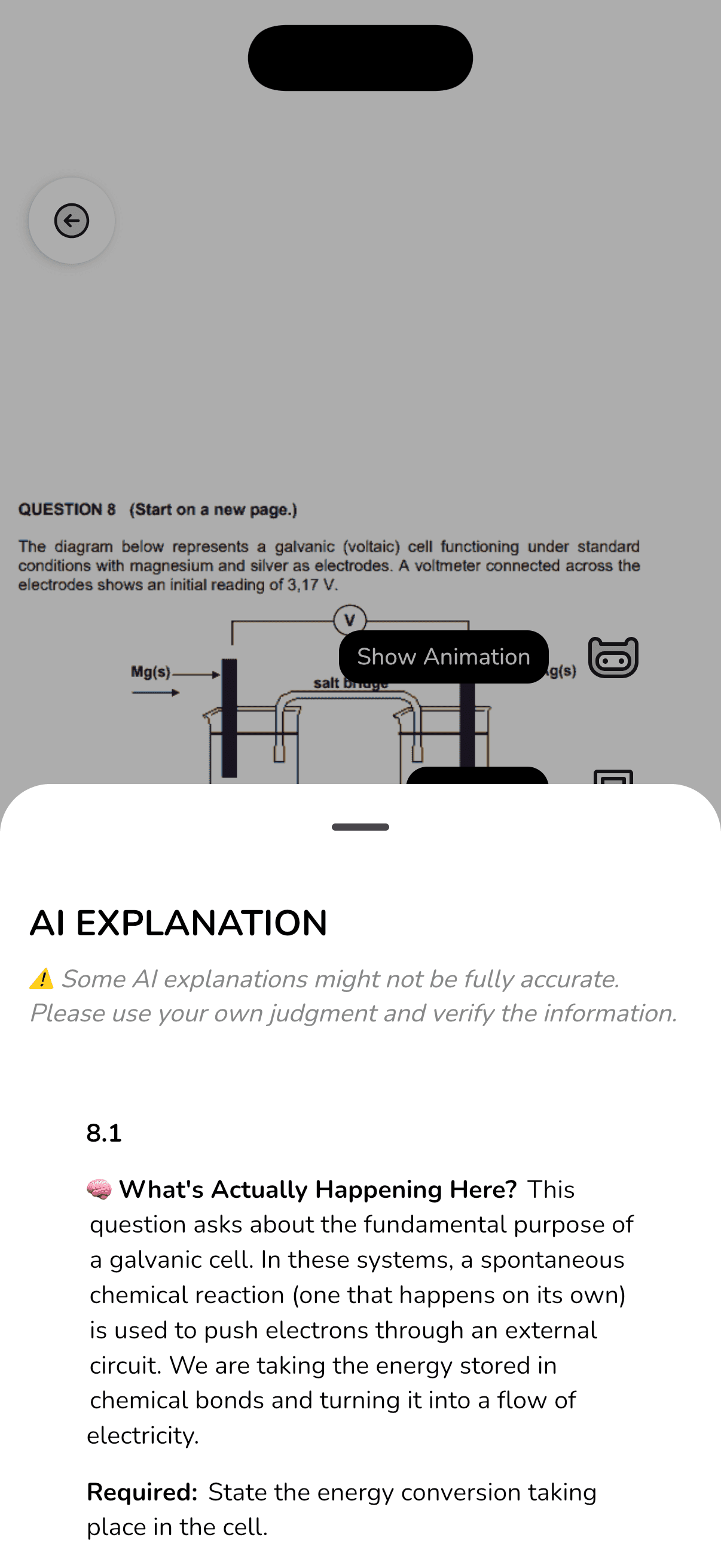 AI explanations screenshot