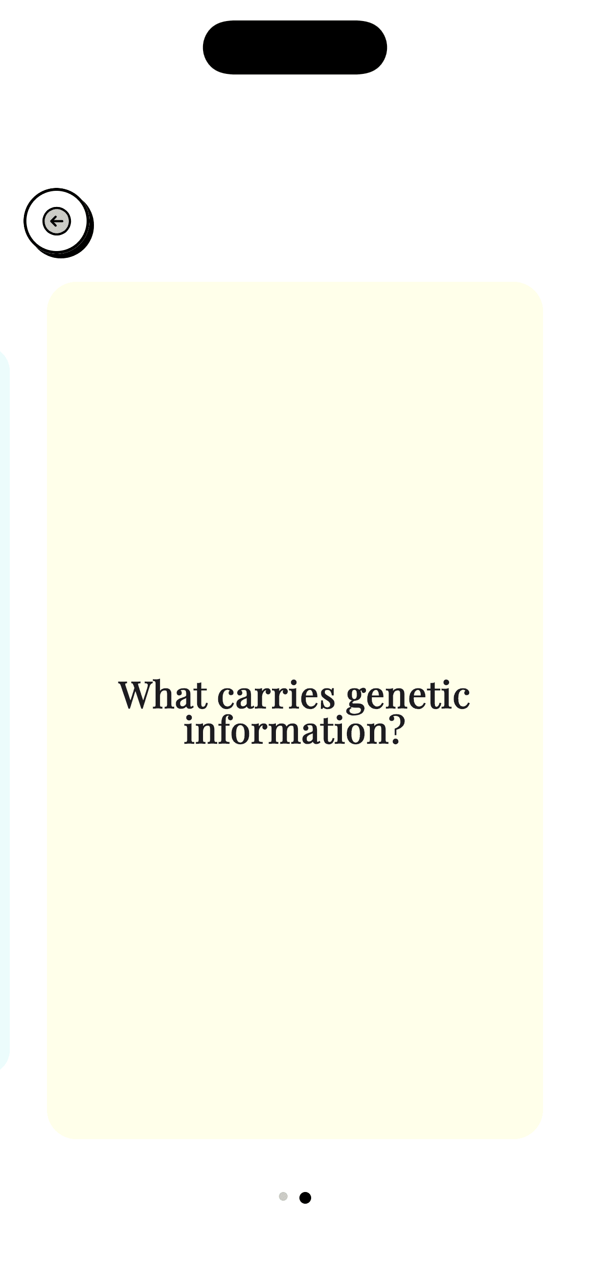 Flashcards screenshot
